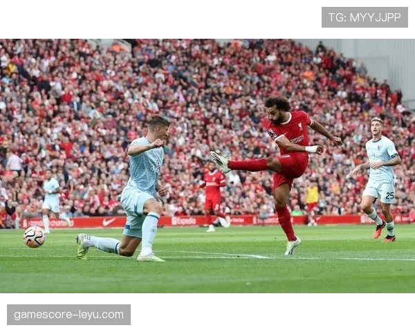 伯恩茅斯伤病潮持续恶化，主帅面临严峻排兵布阵考验