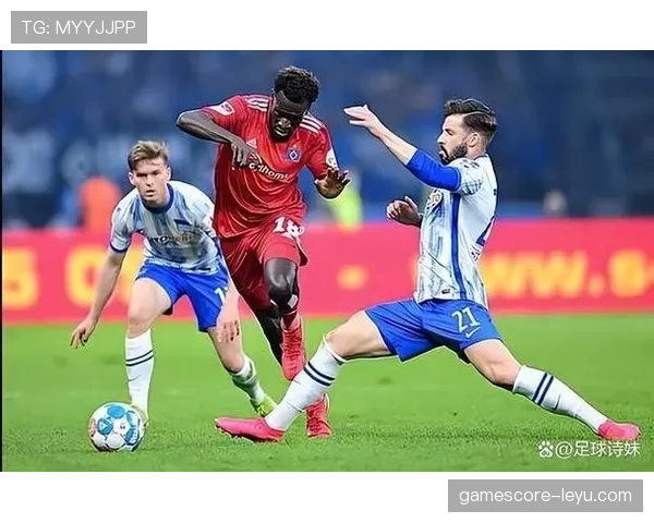 桑德兰新援名单公布，阵容实力显著增强引关注