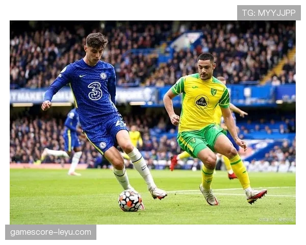 切尔西防线稳固性显著提升，球队整体战斗力增强引关注